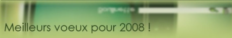 bonneannee.jpg