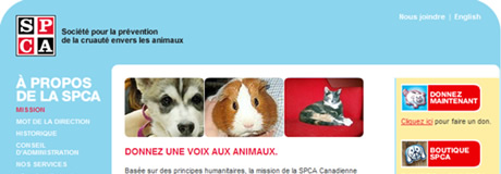 Le nouveau site de la SPCA de Montréal, aux couleurs de la campagne